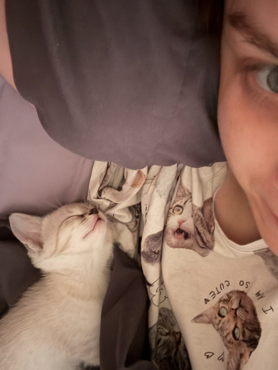 Теперь в галерее одни фотки с котом