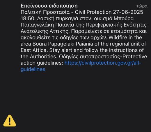 ❗️❗️ Φωτιά στην Παιανία!