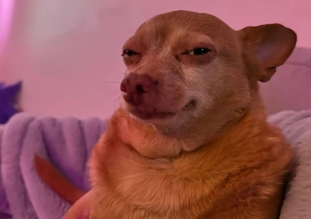 Are you sure your partner is really your partner?😹