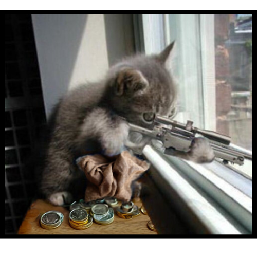 CatScope tweet media