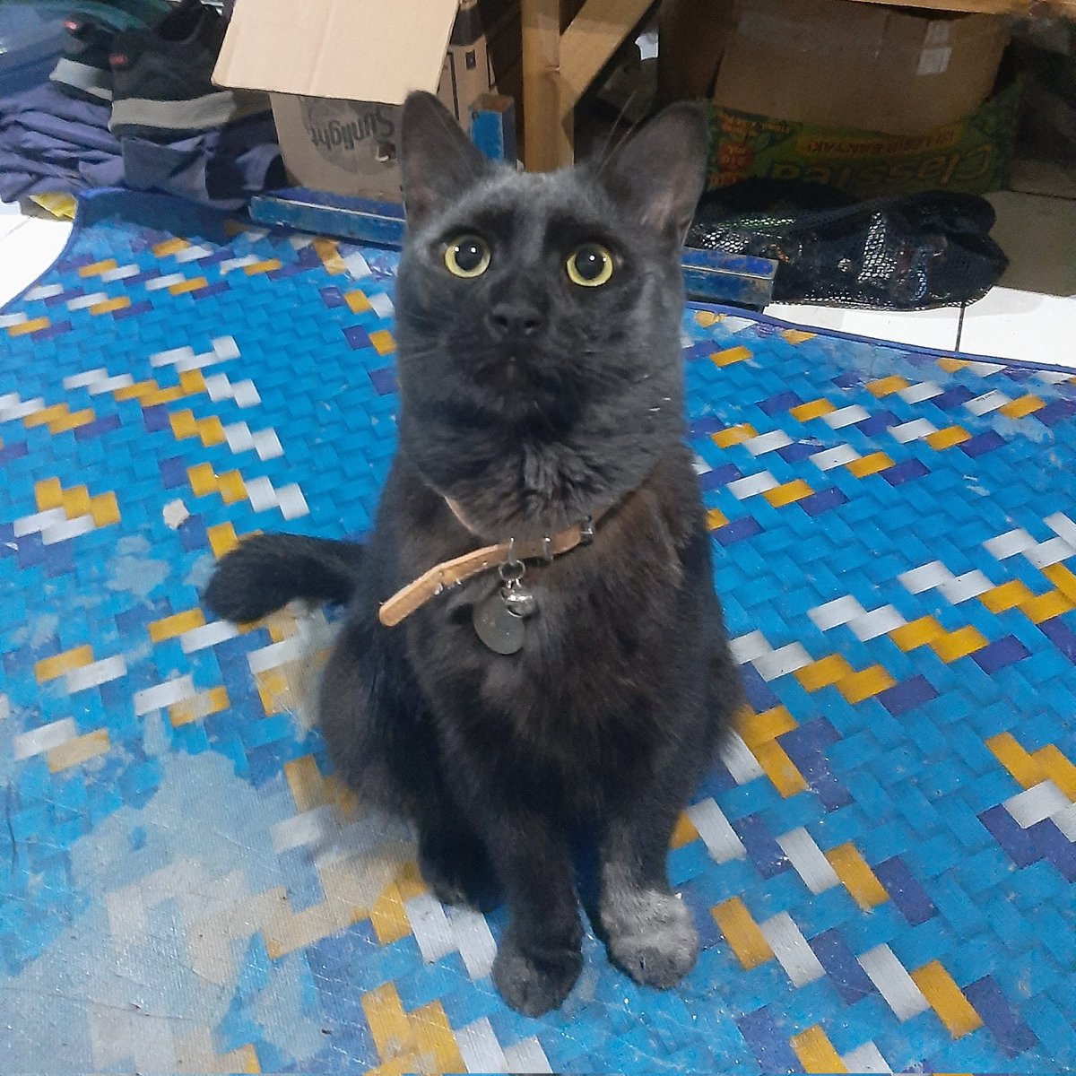 pantesan hening bbrp menit, mandi terigu😭