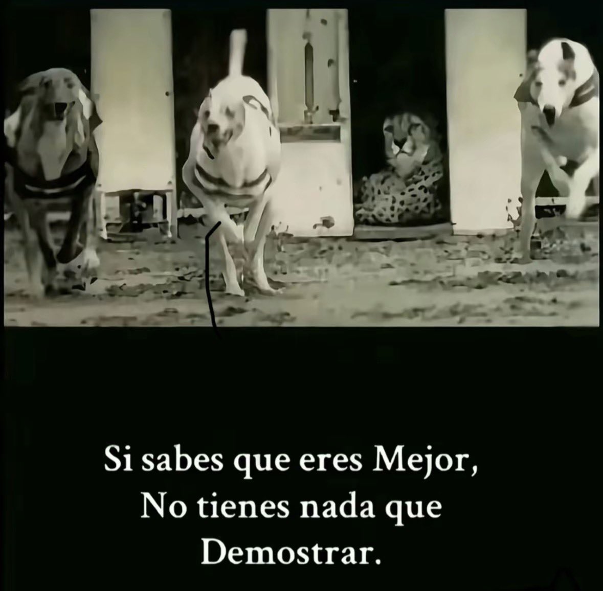 coyes (@coyesssj) on Twitter photo 