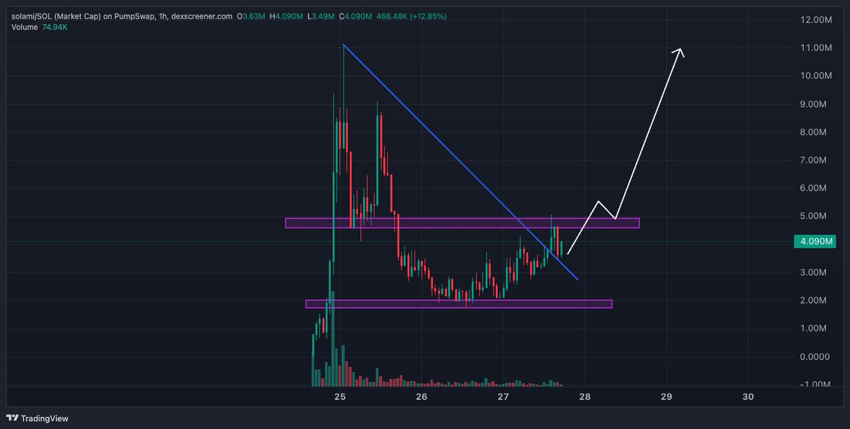 If $solami doesn't hit 10m again, this market is fake
