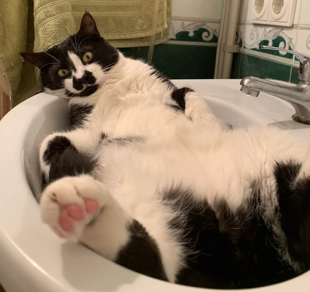 Styopka’s wisdom

And yet, Friday evening is much better than even Sunday morning!
#StyopkasWisdom