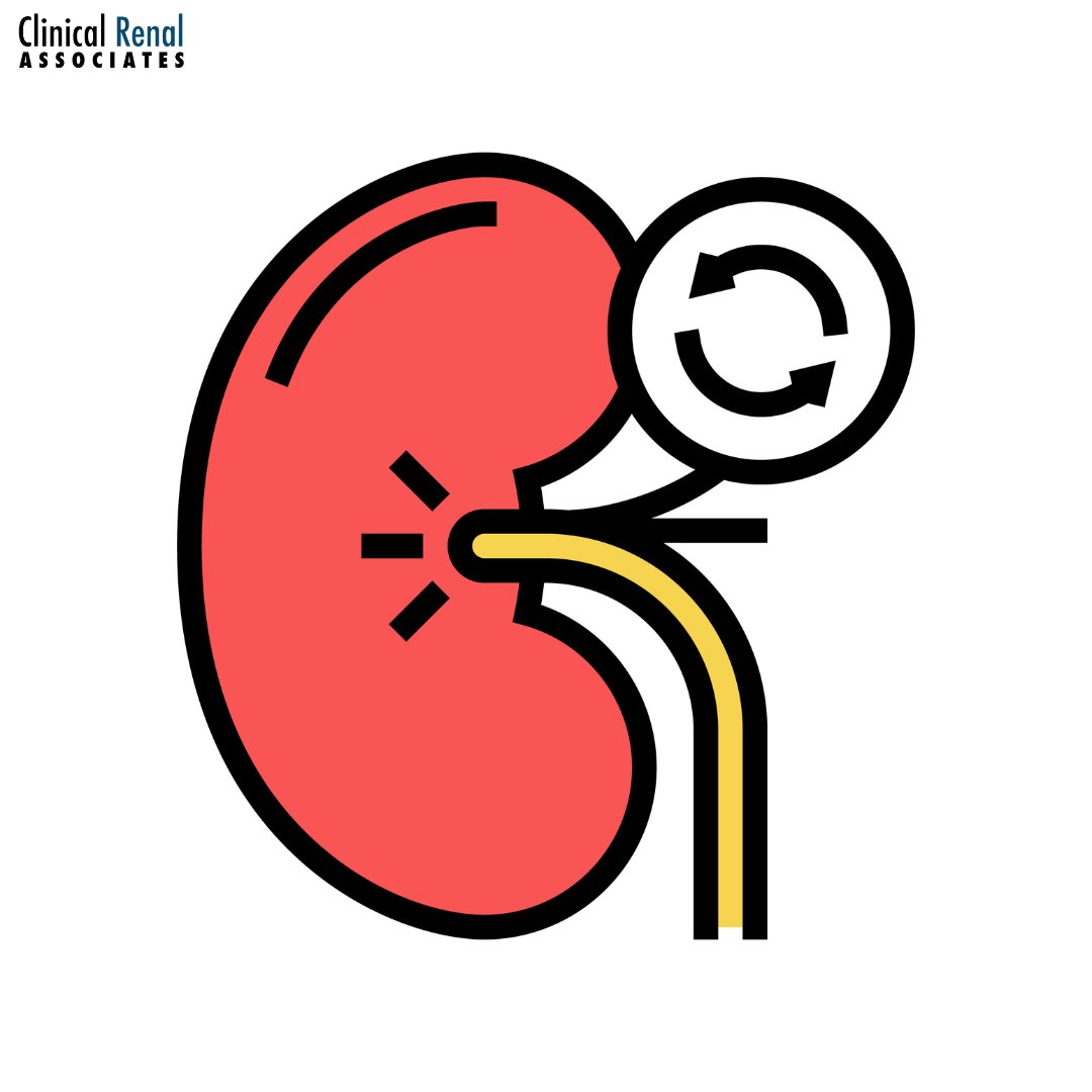 Life After a Kidney Transplant: What to Know
Recovery is often smooth, but some challenges can arise, like infections, rejection risk.
Read-ow.ly/iHVp50VZZkQ
#health #dialysis #transplant #KidneyDisease #CKD #ClinicalRenalAssociates #kidneys #kidneytransplant #kidneyhealth