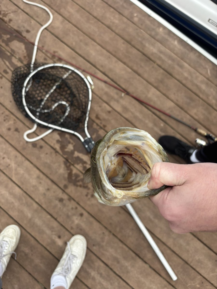 Mikey259NY's tweet photo. Just caught this #hog in the same fit I’m gonna shoot 108 in later #versatileathlete #dualthreat https://t.co/ybOr85Mi8p