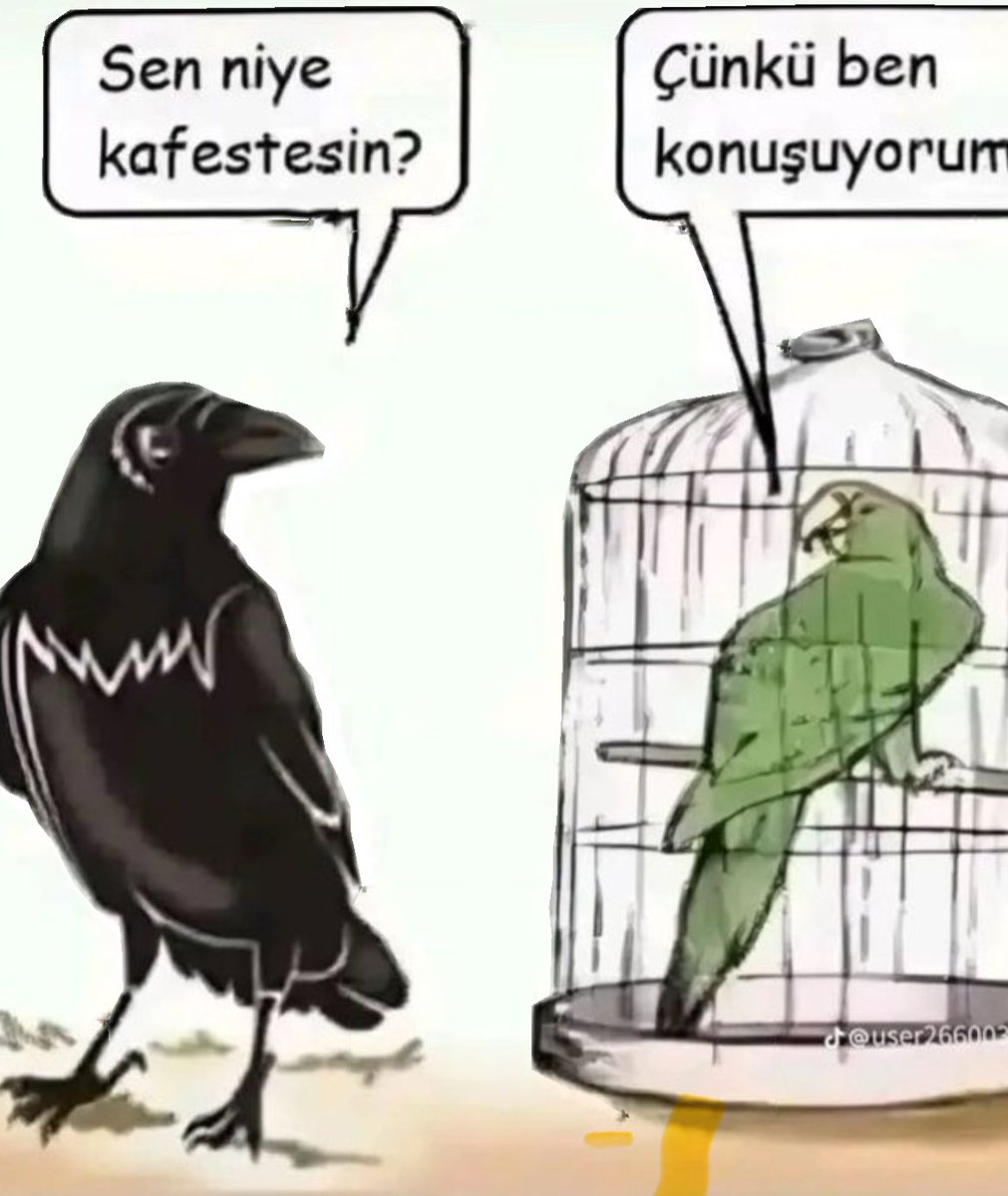 Mehmet Gürer (@mehmetg6392647) on Twitter photo  Mehmet Gürer (@mehmetg6392647) on Twitter photo