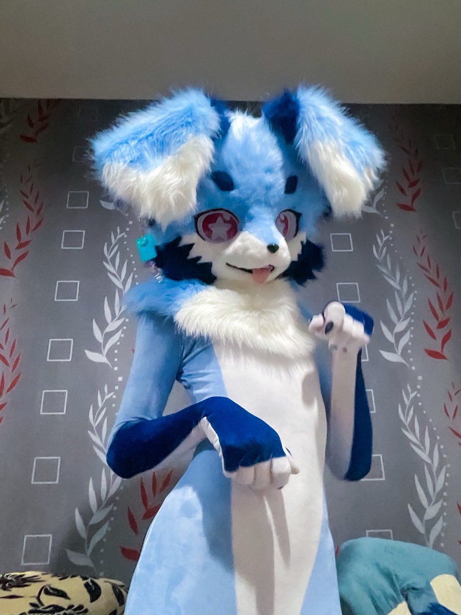 Foxy DREAM (@foxydream001) on Twitter photo Say Hello to my new look.🎉✨🩵💙❤️
🩱🐶 : GraceLolitaShop
🩱✂️ : <a href="/PETSUITFORFUN/">PETSUIT ペットスーツ</a>
#FursuitFriday Say Hello to my new look.🎉✨🩵💙❤️
🩱🐶 : GraceLolitaShop
🩱✂️ : <a href="/PETSUITFORFUN/">PETSUIT ペットスーツ</a>
#FursuitFriday