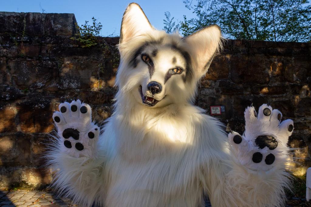 Happy #FursuitFriday in my @kitavos_de suit

✂️ <a href="/yurei_kitsune/">Yurei VF 2023</a>
📸 <a href="/TakenyaChaos/">Taka</a> 
🗓 03.10.2020
🏰 #Esslinger #Burg
🏙 #Esslingen am #Neckar 🇩🇪
🦊 #Photoshooting

#Fursuit #Furry #Fuchs #Fox #Furs #Castle #Berk #BerkWolf #Kitavos

Follow my Berk-News (TG):
t.me/Berk_News