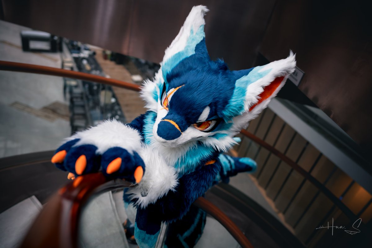 _StarDragon_'s tweet photo. 鲨鱼狩猎时刻
📸：@影华
#FursuitFriday https://t.co/Fxin1liQls