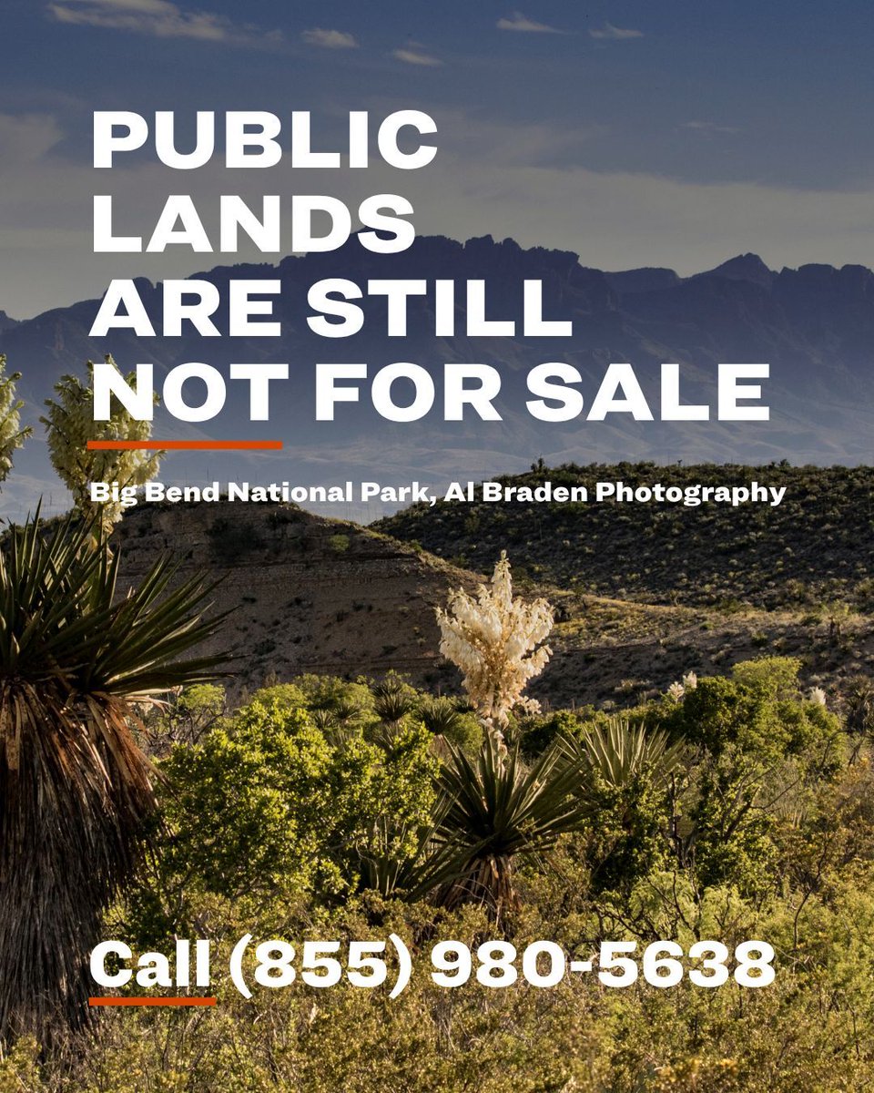 TexasSierraClub's tweet image. Sen. Mike Lee wants to sneak public land sales back into the budget.
No 👏 sale 👏 means 👏 no 👏 sale 👏
Take action: 🔗 sc.org/NotForSale | 📞 855-980-5638