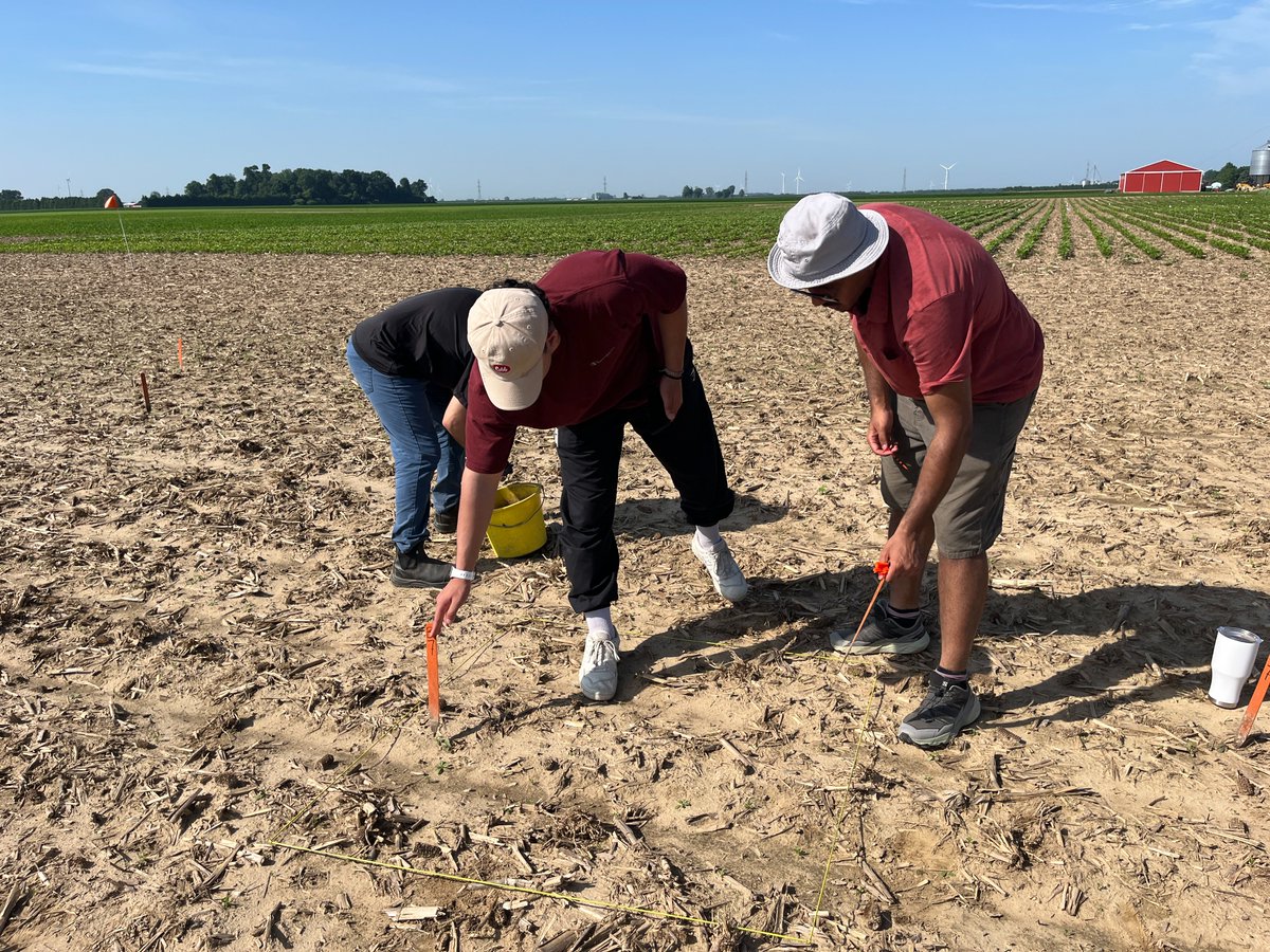 How do you measure weed density in your crop?  🌱🔍
This summer we’re continuing our research with Nortera and the University of Guelph on the density of common weeds so we can help farmers make informed decisions on herbicide applications, and minimize the use of spray!