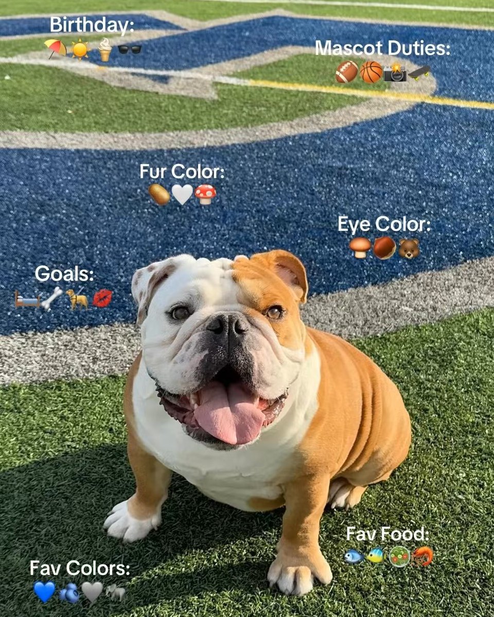 How seeing Jack makes us feel: 🥰 🤩 ✨ ❣️ 💘