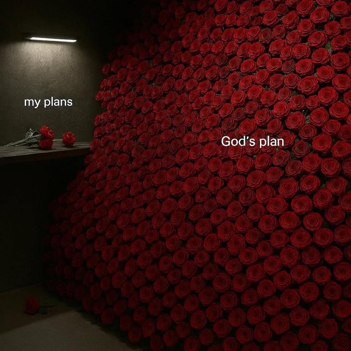 True Memes (@truememes_) on Twitter photo 