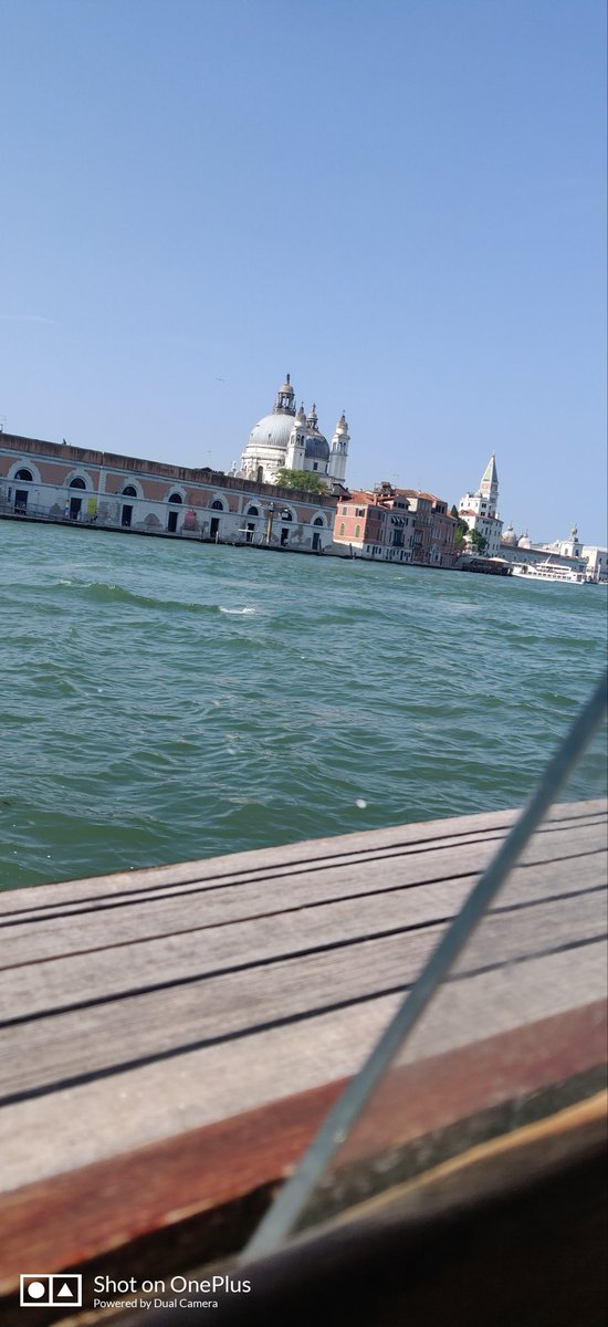 вєуσи∂ χтяємє ѕнσтѕ ✝ tweet media