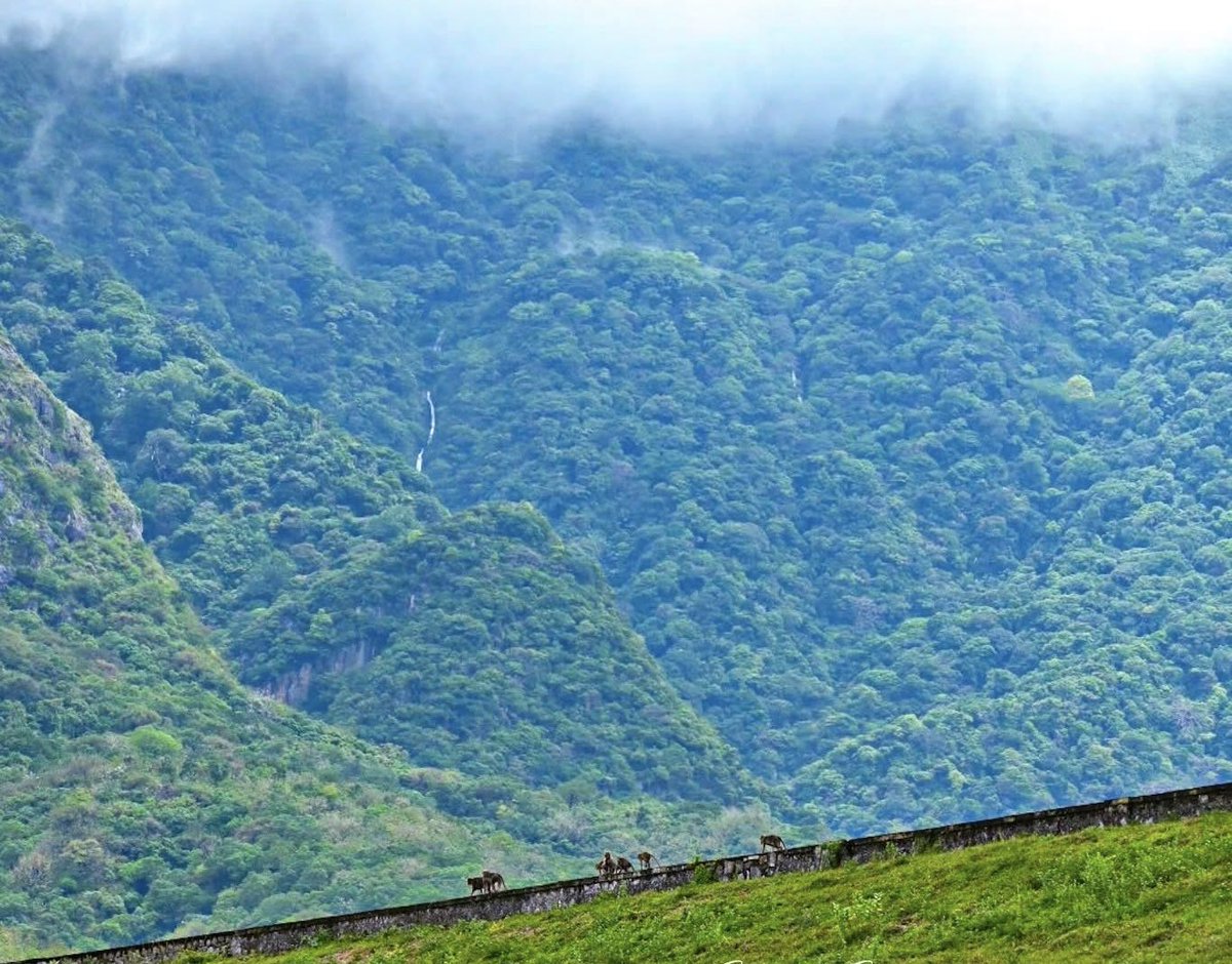 KSRadhakrish's tweet image. ராமநதி - கடையம் , தென்காசி மாவட்டம் !!!

Ramanathi - Kadayam , Tenkasi District !!!

#ramanathi #dam #falls #river #kadayam #nature #agriculture