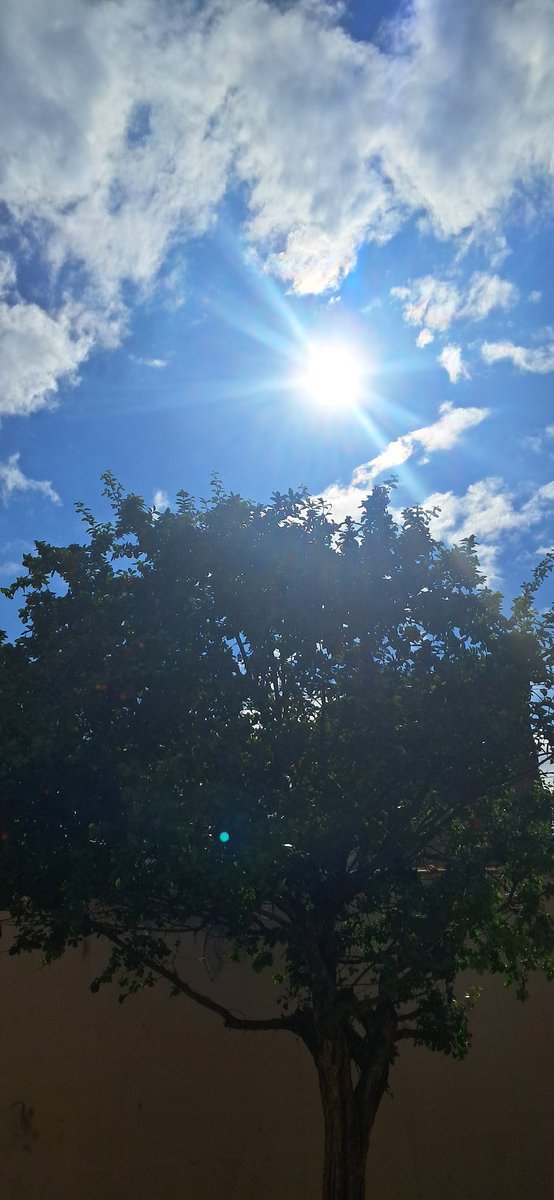 Shy ray of sunlight  
Rinse out this darkness that's bathing me  
Exorcize the restraining ice  
And turn it into water, pure and clean