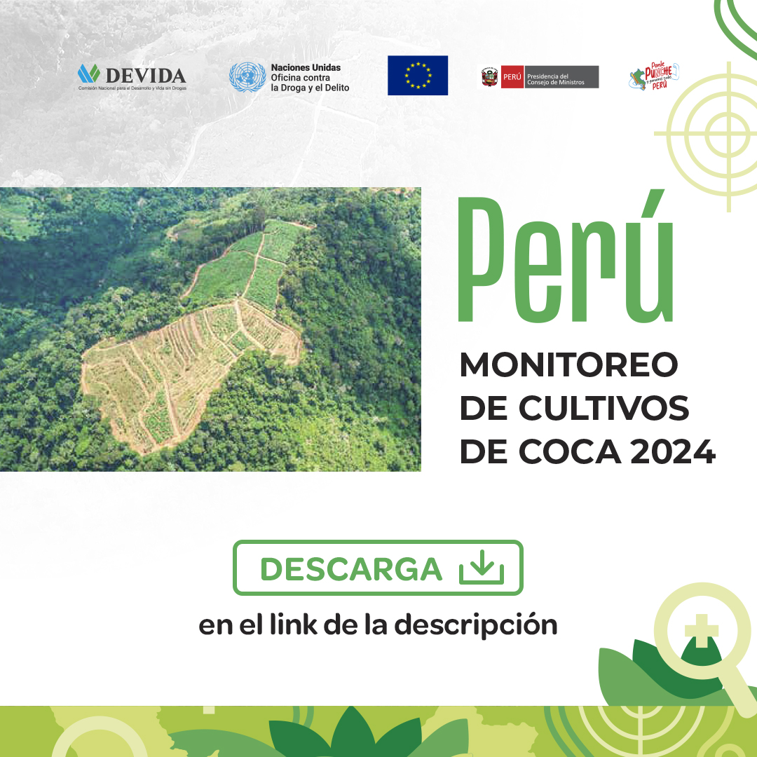 Compartimos los resultados del Informe de Monitoreo de Cultivos de Coca en el Perú 2024.

Descárgalo aquí: gob.pe/es/i/6868111

#NotaDePrensa: gob.pe/es/n/1195330