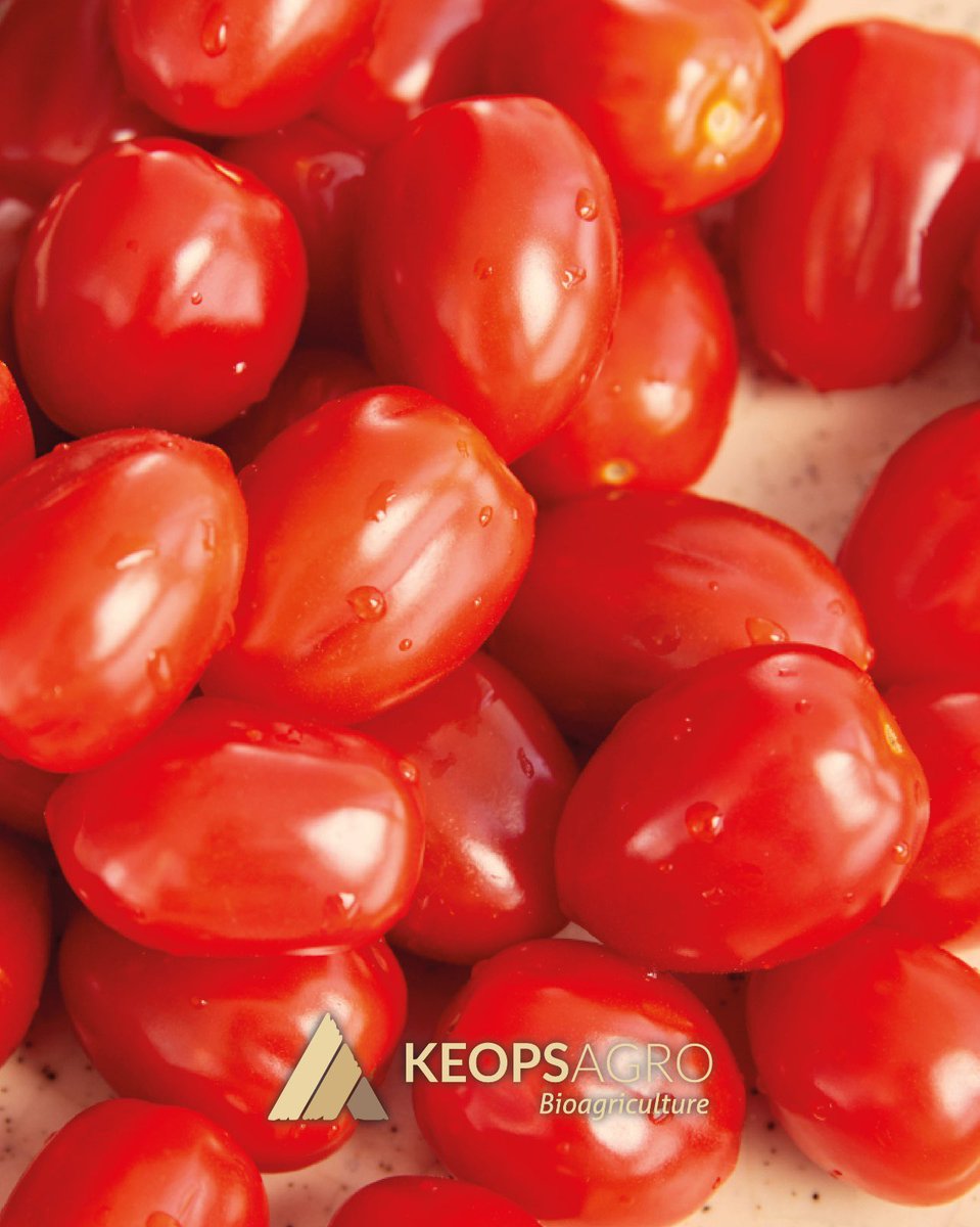 Keops Agro tweet media