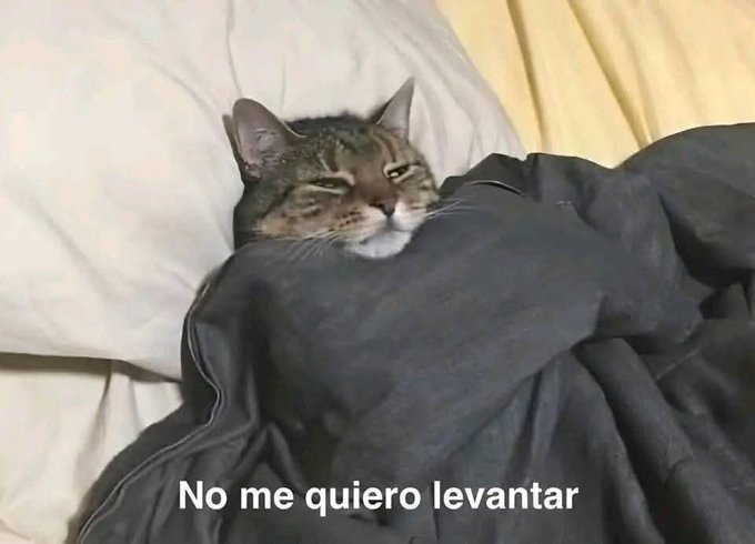 ternuras (@i_misha_i) on Twitter photo 