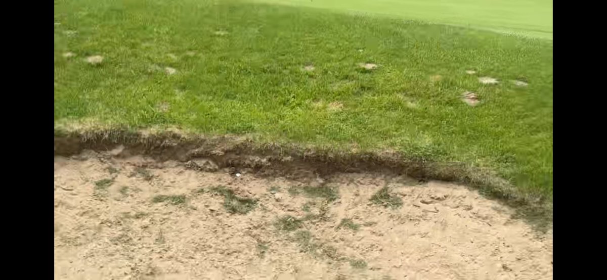 Gator’s golf ball <a href="/DougAndGator971/">Karsch and Anderson</a>