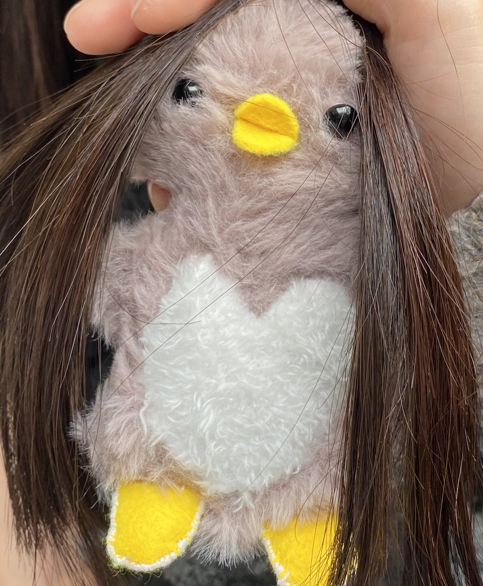 さらさらロングヘアーに憧れて

#ぬいぐるみ　#ぬい活