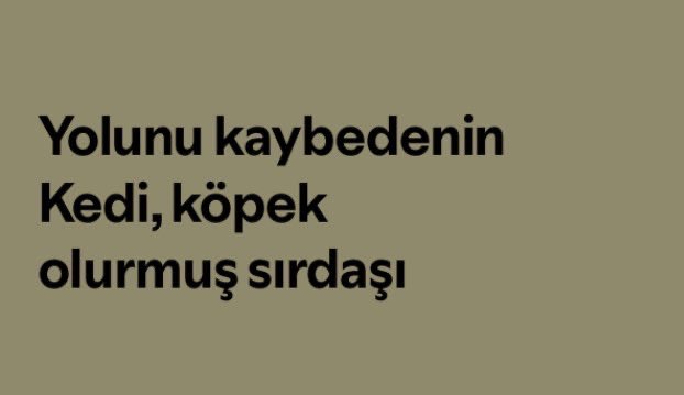 Pakizemutlu_'s tweet photo. benim canavar🤍 https://t.co/bbh988VDxy