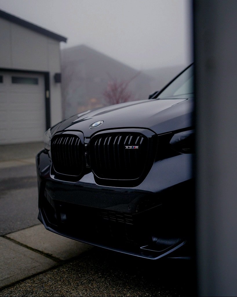 algocats tweet media