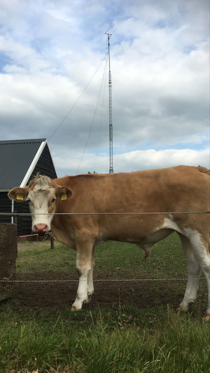 PI4CQ's tweet image. On air in Lemele.