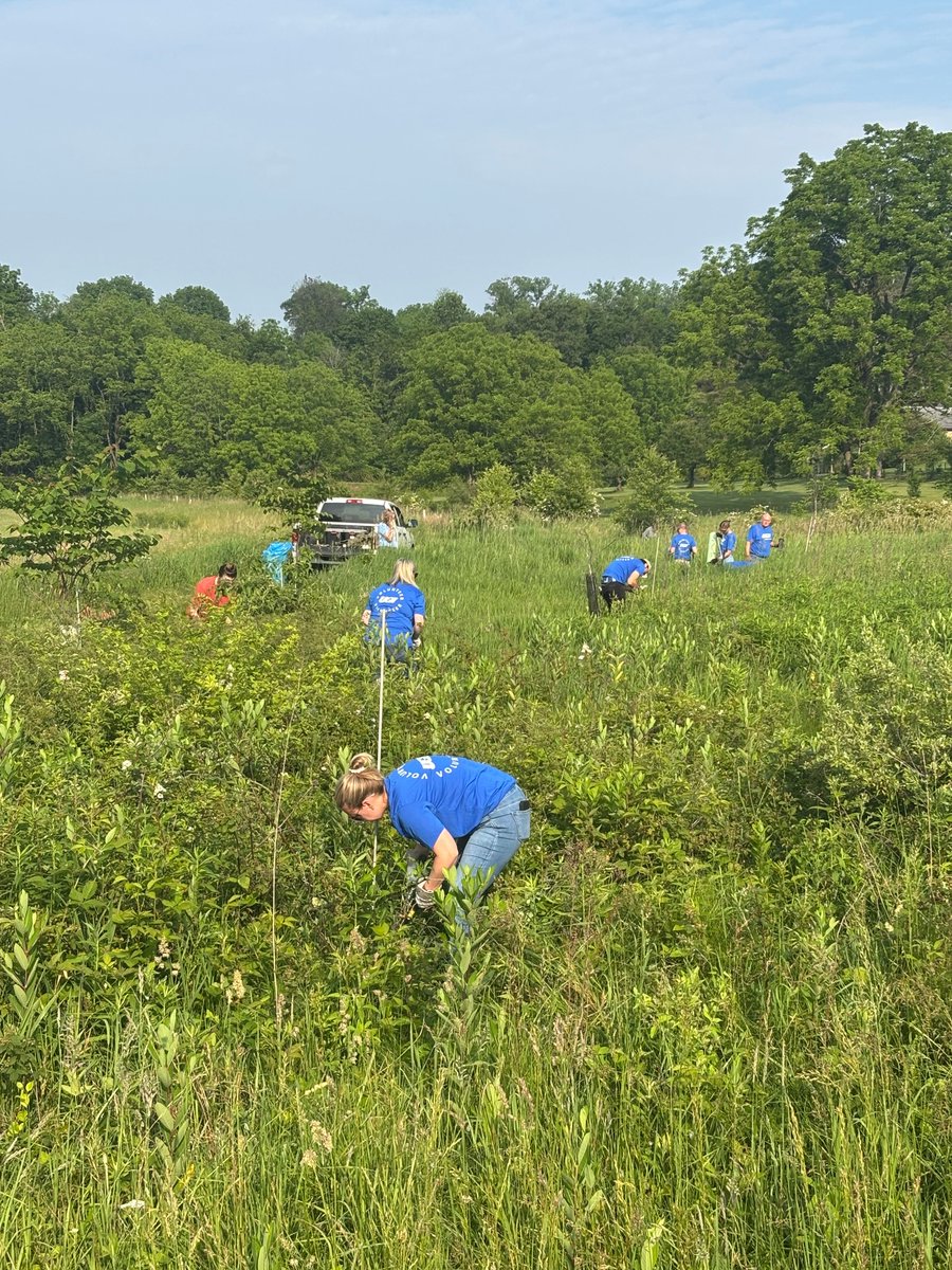 Thank you to our employees for recently volunteering with Wildlands Conservancy in Emmaus! Volunteers maintained protective tubes placed over trees, removed invasive vegetation, and planted trees.
