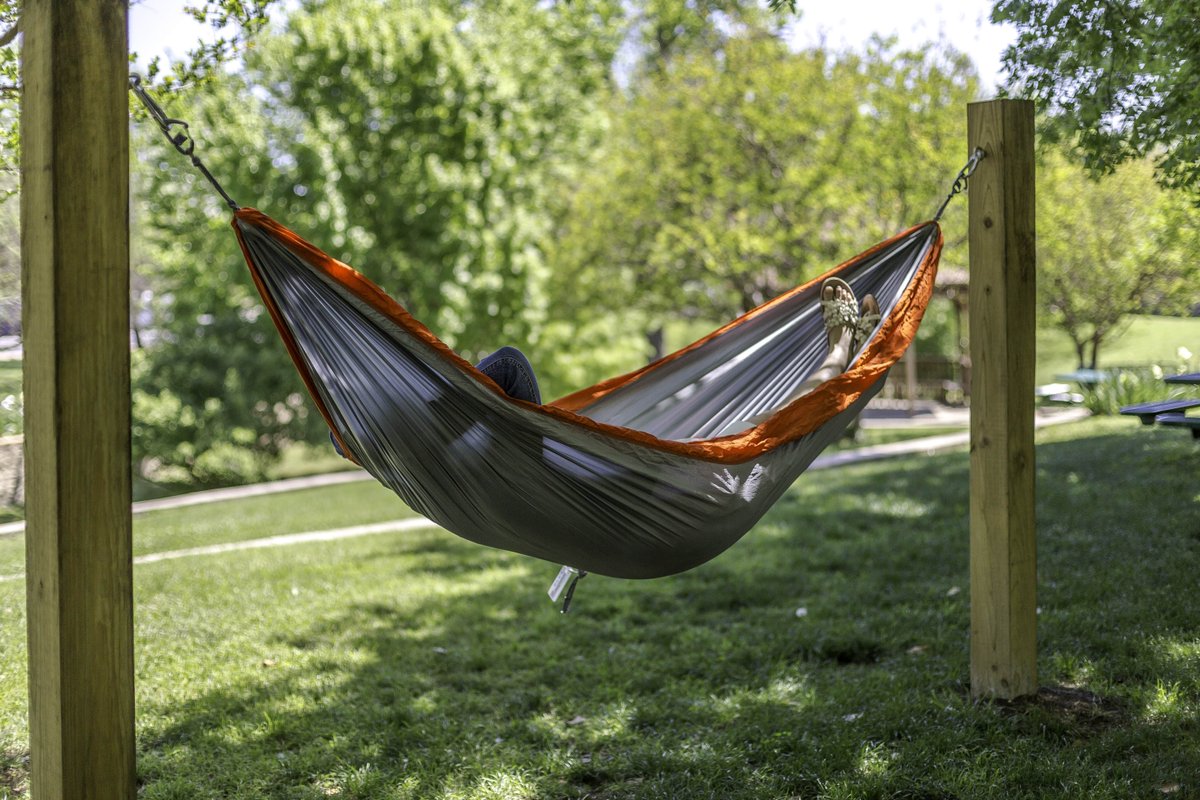 Future Comets tweet media