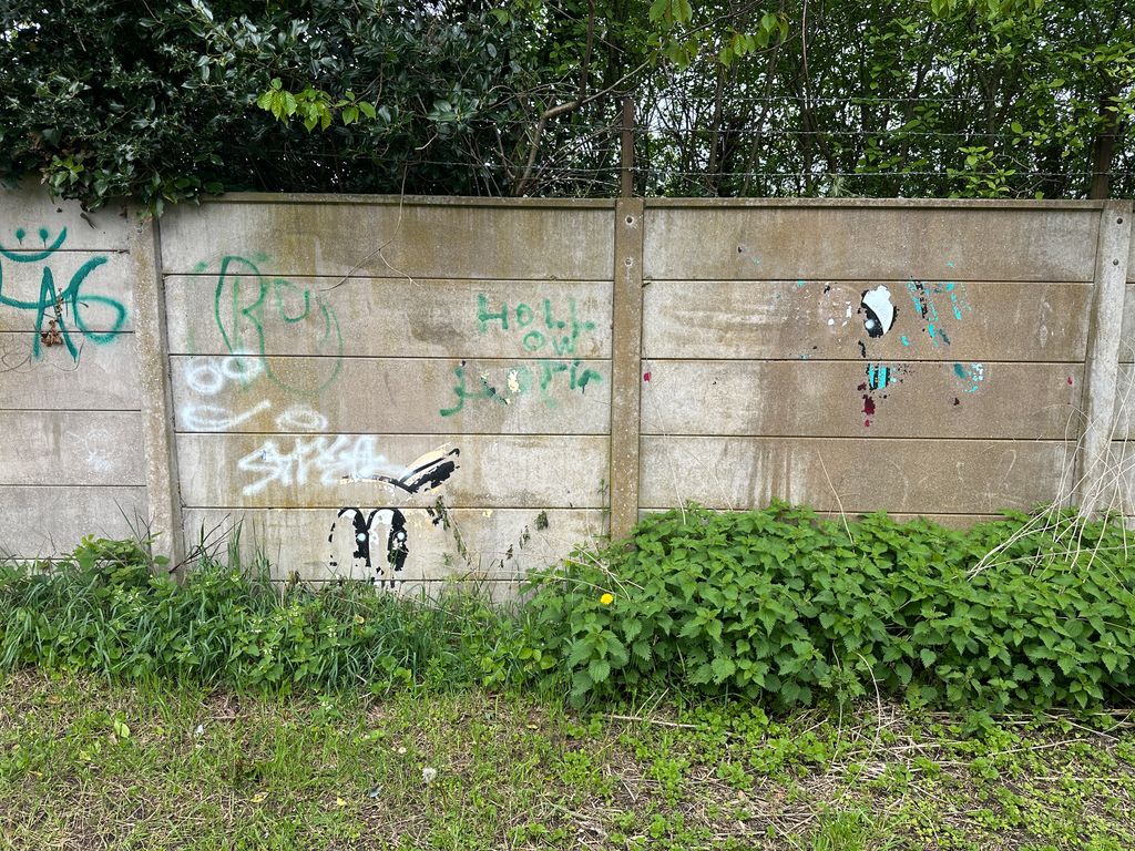 There is an initiative underway to create a “Path of Positivity” in the alleyway than runs alongside Marlow FC’s ground. The concrete wall has long been covered in unsightly graffiti, and the initiative intends on working along the wall, painting bold and colourful designs. Our