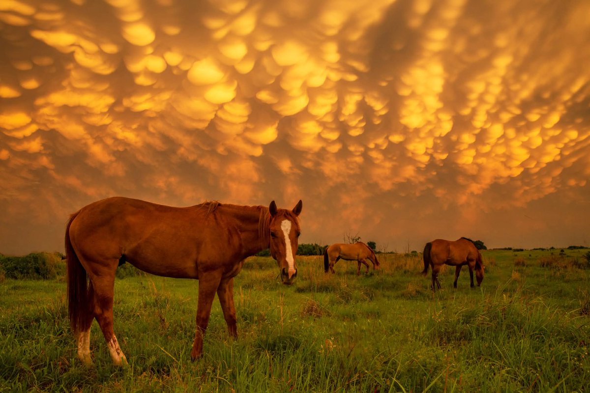 Hi, yes, hello all! My new drone is in the mail. Which is lame, but great. Wanna help out? I'm back in the print game! If you'd like to help the drone fund please consider picking up some prints for your home or for gifts! Never too early to be thinking about the Holidays. For