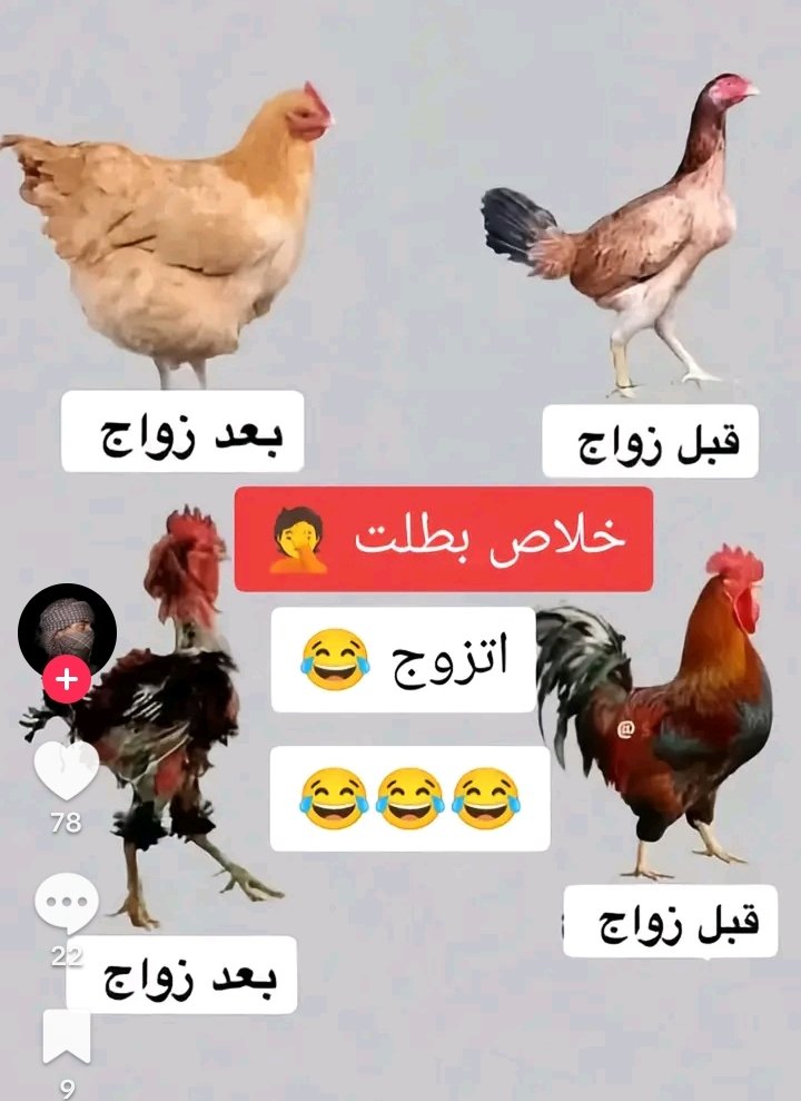 الرجل والمراة قبل الزواج وبعد الزواج