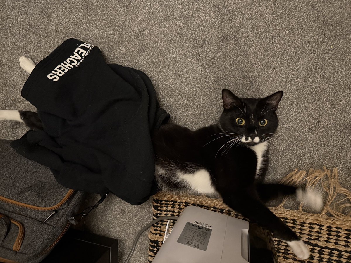 ready for his first <a href="/bleachersmusic/">bleachers</a> show