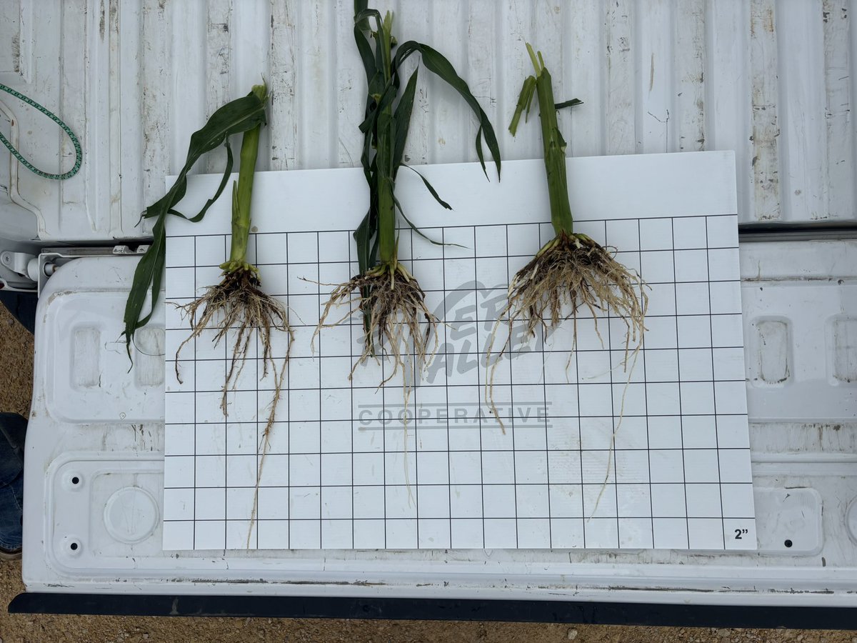 River Valley Coop Interns tweet media