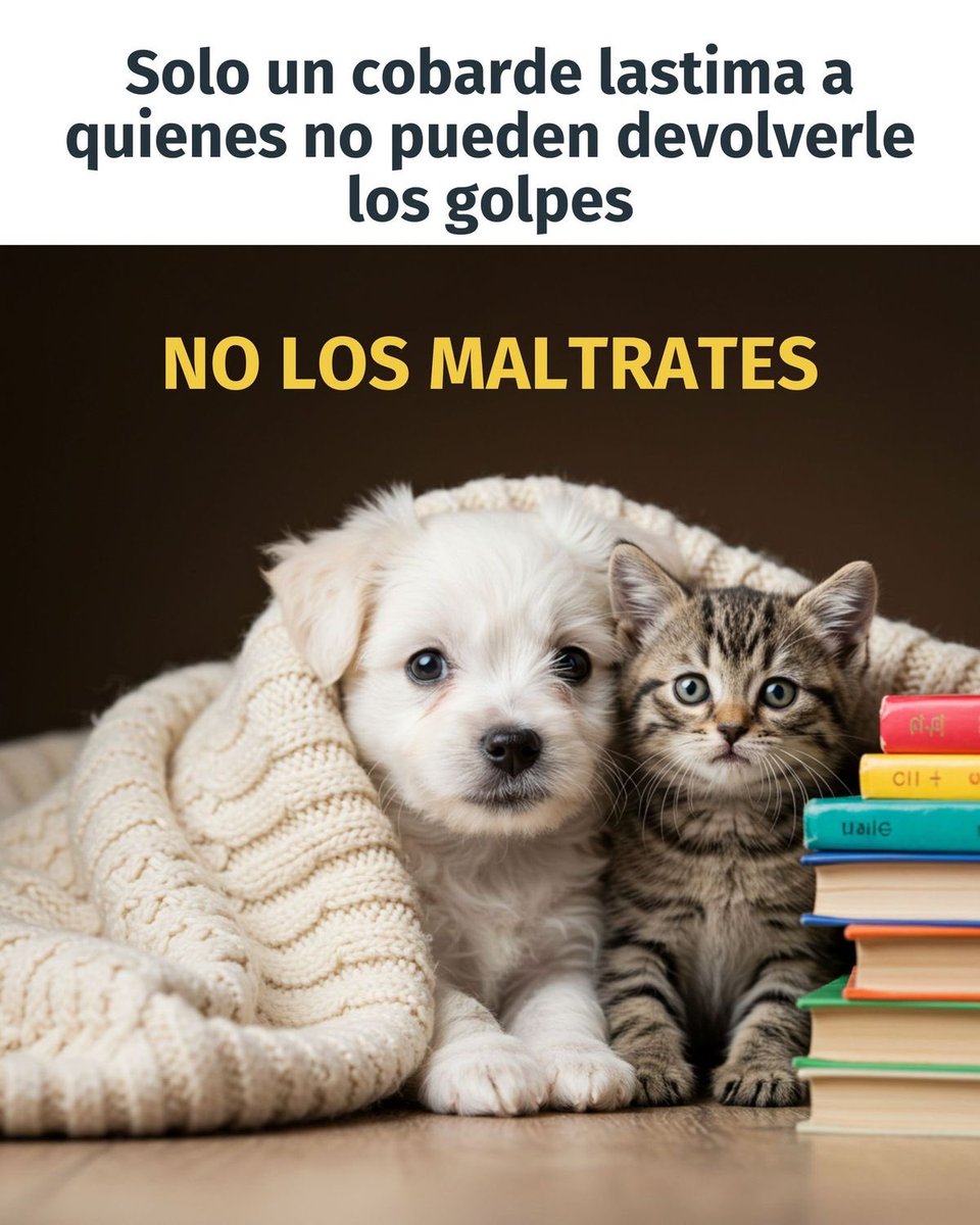 AlmasDeLaCalle's tweet photo. NO ES FUERZA. ES BASURA.

Golpear a un animal no te hace valiente.
Te hace mierda con forma humana.
Te hace residuo. Te hace ruina.
Te convierte en todo lo que este mundo no necesita.

¿Maltratas a un cachorro?
¿A un gatito que ni siquiera puede hablar?
¿Levantas la mano contra alguien que no puede devolverte el golpe?
Entonces no eres fuerte.
Eres un infeliz.
Un cobarde enfermo que descarga su miseria sobre la bondad más pura que existe.

Un perro no pide nada.
Un gato solo busca un rincón donde respirar.
Y tú… tú le das golpes, insultos, miedo.
Le das noches largas y frías.
Le das heridas en lugar de caricias.
Porque no sabes amar,
porque te da miedo tu propio reflejo,
y porque maltratar es lo único que te hace sentir “algo”.

Pero escucha bien esto:
quien hiere a un ser inocente se destruye a sí mismo.
Porque esa mirada rota, ese cuerpo temblando,
ese gemido que no sale…
quedará en tu sombra para siempre.

Y algún día, cuando estés solo,
cuando el mundo te pase la factura,
no habrá un peludo ahí para consolarte.
No habrá un ronroneo, ni una lamida, ni una cola moviéndose.
Porque tú mataste eso.
Con tus manos, con tus gritos, con tu asco.

NO LOS MALTRATES.
NO LOS TOQUES CON ODIO.
NO TE ATREVAS A DESTROZAR LO ÚNICO PURO QUE AÚN NOS QUEDA.

Porque si lo haces,
mereces la soledad más larga,
el desprecio más profundo,
y que el mundo te escupa a la cara
como tú escupiste en sus almas.

Si coincides, da RT.
Por el bien de ellos.
Por los que no pueden defenderse.
Por los que aún creen en nosotros,
aun cuando ya no lo merecemos. 🐾