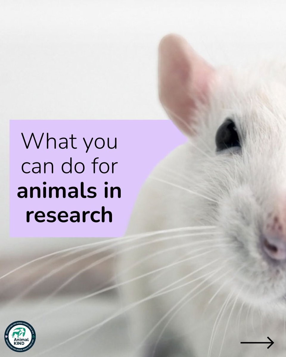 animalkind_aus's tweet image. 📚 Refuse to use animals in your coursework⁠
🧴 Use products which are not tested on animals⁠
🌱 Choose a plant-based diet⁠
💖 Donate to charities who do not fund animal experiments⁠
⁠
Every action, however small, matters for animals trapped in labs.