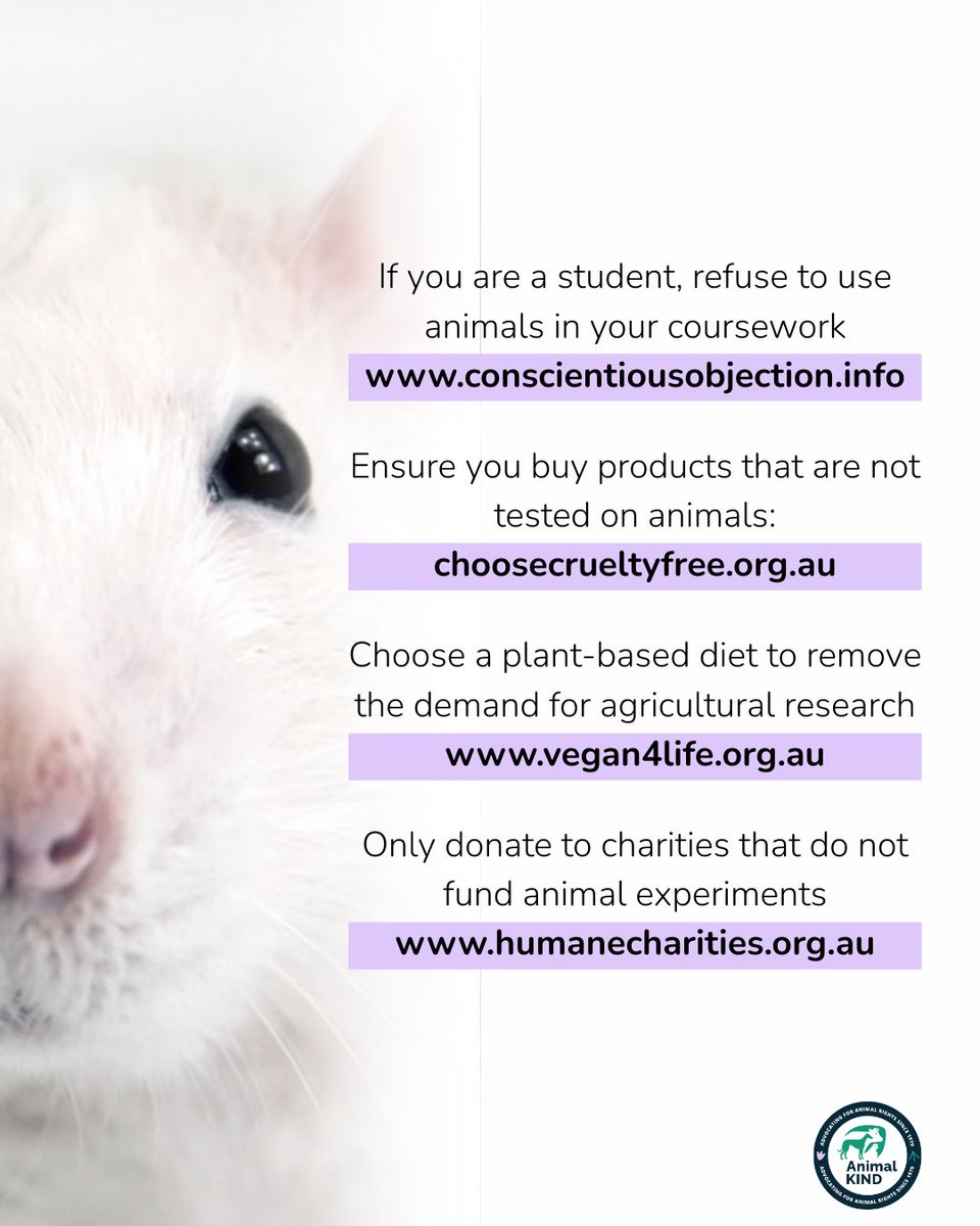 animalkind_aus's tweet image. 📚 Refuse to use animals in your coursework⁠
🧴 Use products which are not tested on animals⁠
🌱 Choose a plant-based diet⁠
💖 Donate to charities who do not fund animal experiments⁠
⁠
Every action, however small, matters for animals trapped in labs.