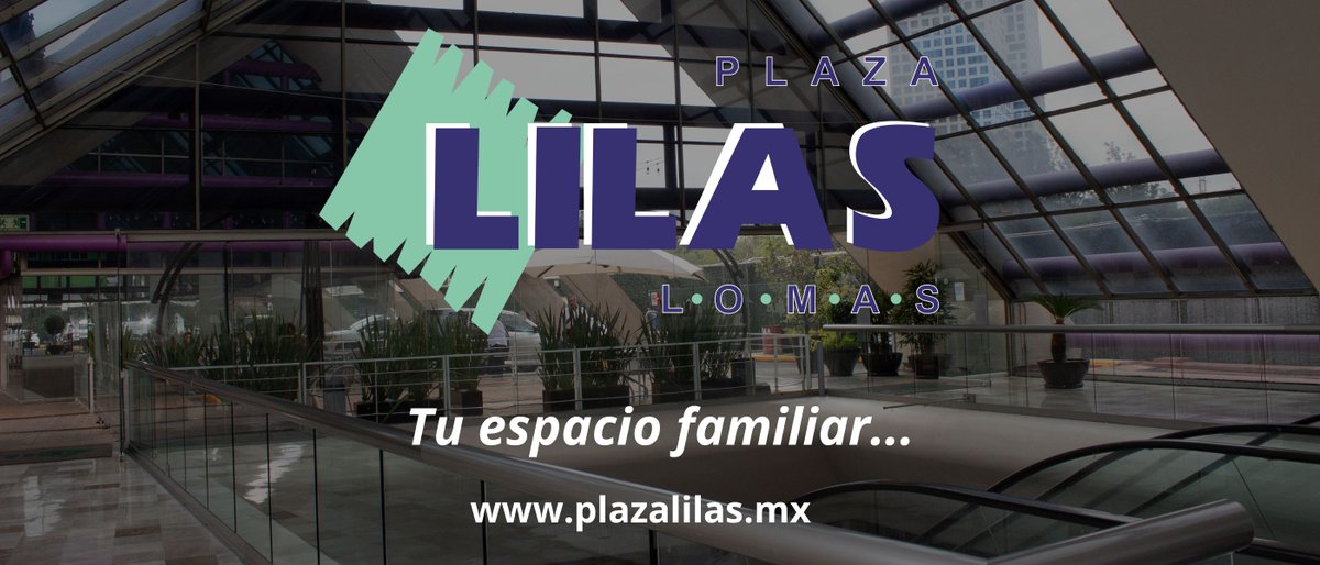 plilas's tweet photo. https://t.co/c2sF3YH9Sh