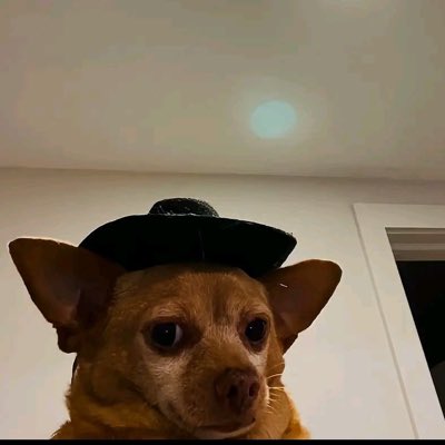 ShabirShehu's tweet photo. #NewProfilePic https://t.co/J69ihqpSDg