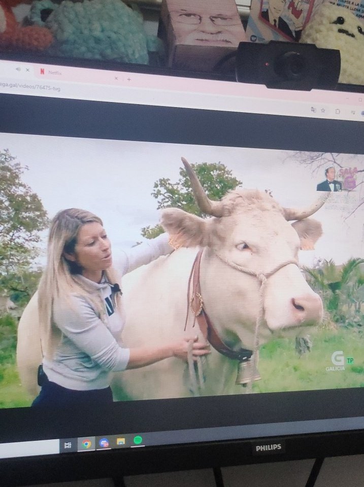 🪷୨♡୧ tweet media