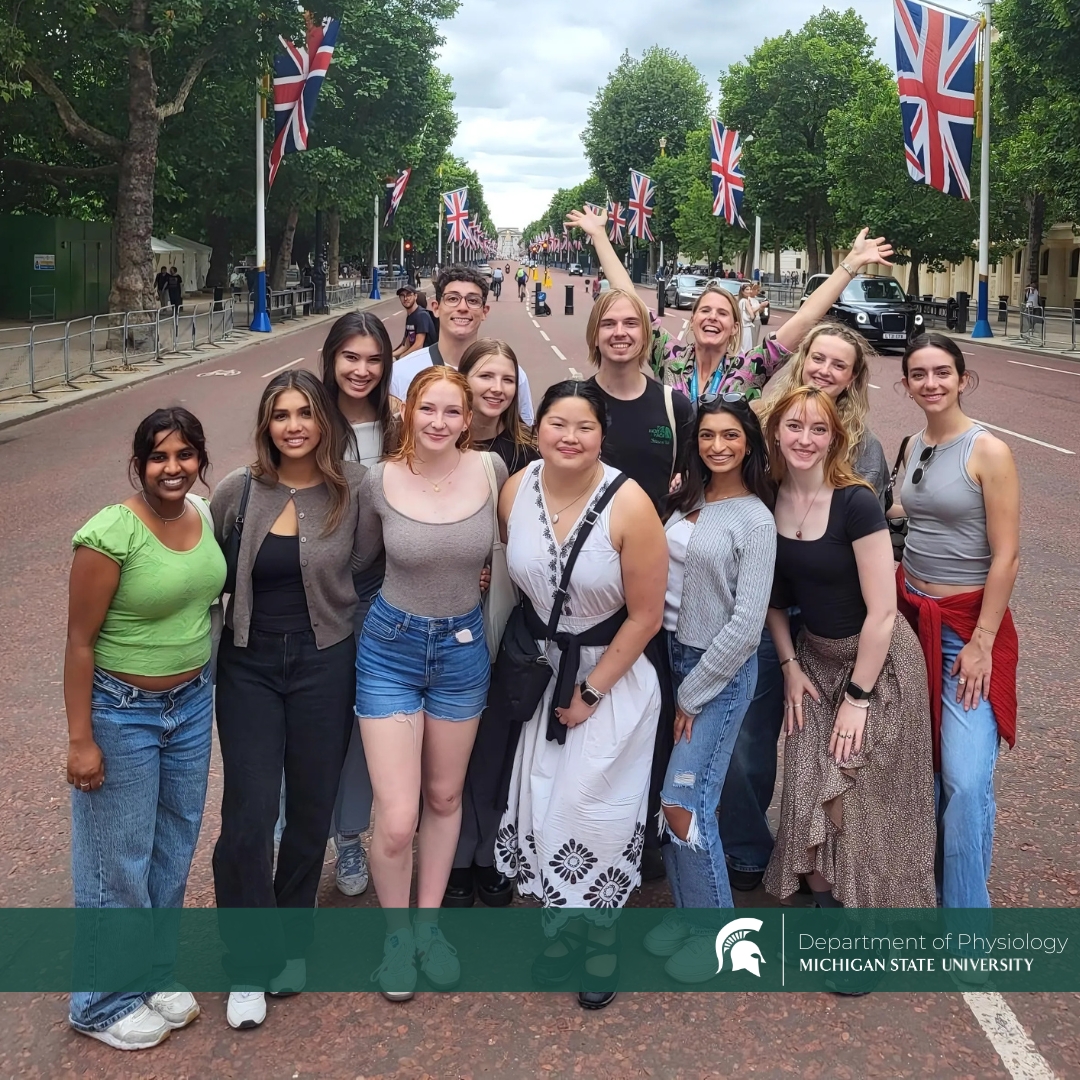 MSU Department of Physiology tweet media