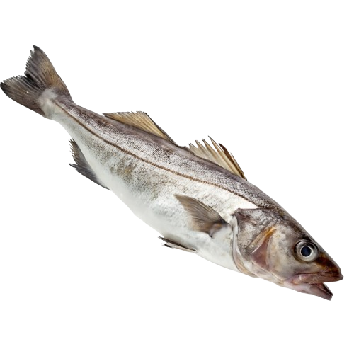ConwayFish1's tweet photo. Warm up with this classic Greek fish recipe 🇬🇷🔥 - https://t.co/HqhFNsJvar https://t.co/OAq3NLuX4v
