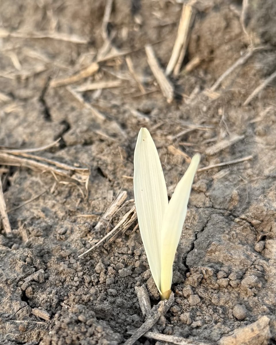 These keep popping up and I don’t know why