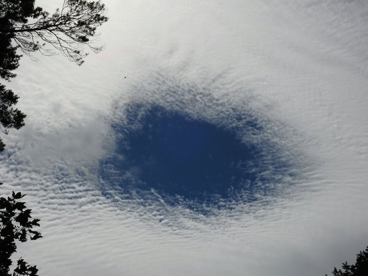 mildthing99's tweet photo. Several #fallstreak holes in #CirrocumulusFloccus and #CirrocumulusUndulatus
over the #SurreyHills
@SurreyHillsNL @CloudAppSoc @StormHour @metoffice @ThePhotoHour #StormHour #loveukweather https://t.co/ljYndry6wM