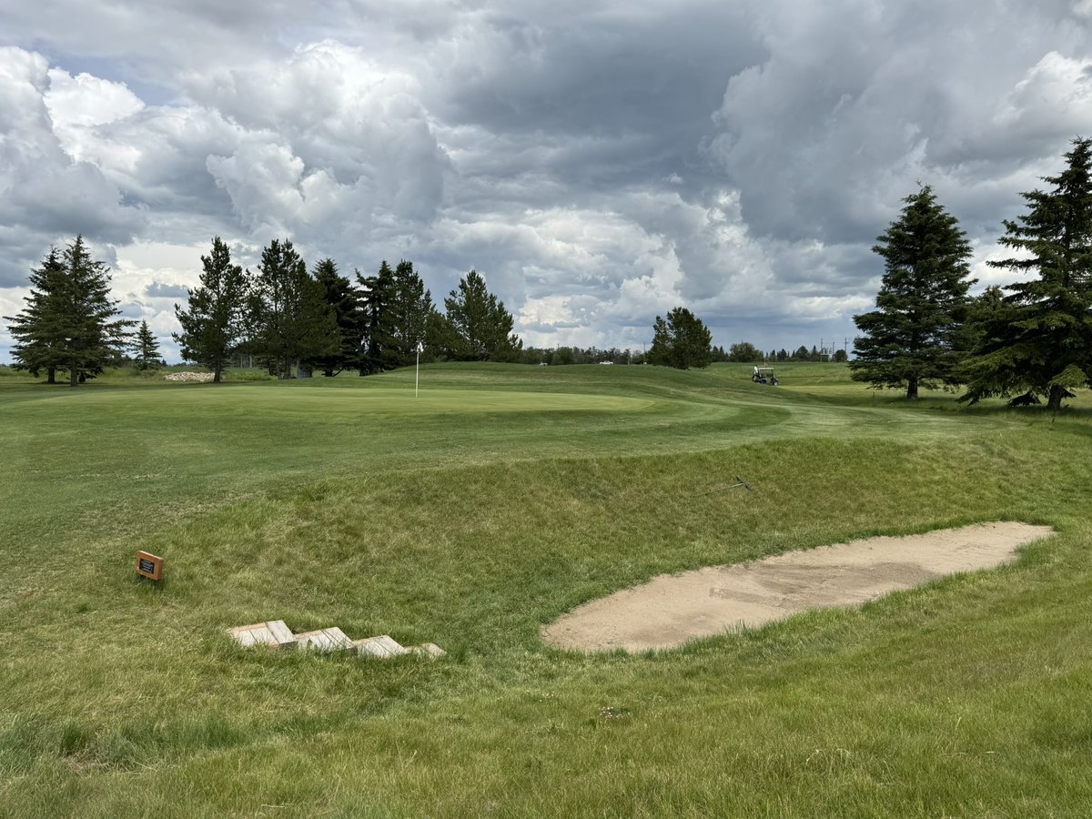 There are a few signature spots on our opening holes ⛳️ We have the “Twins” on #2, the “Olson Ditch” on #4, and now, the “Chris Ballantyne Cedar Log” on #5 🤣 #PlayMoreGolf