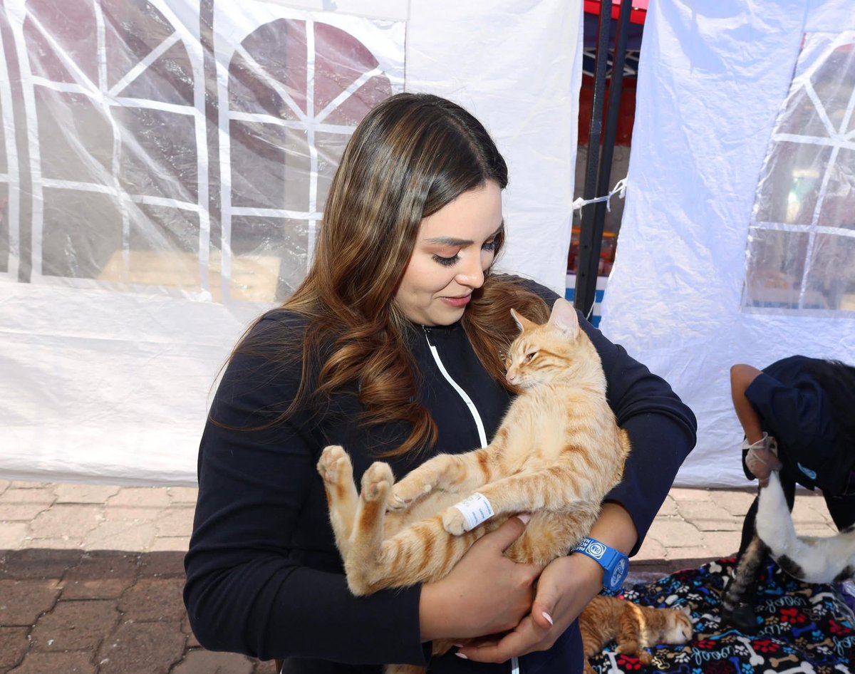 Diputados PAN Edoméx (@gppan_edomex) on Twitter photo El día de hoy la diputada <a href="/KRISHNAROMERO14/">Krishna Romero</a> realizó una jornada de esterilización y vacunación para mascotas, cuidar su salud es el reflejo del amor que existe para todos ellos.
#AcciónNacional #PANEdoMex El día de hoy la diputada <a href="/KRISHNAROMERO14/">Krishna Romero</a> realizó una jornada de esterilización y vacunación para mascotas, cuidar su salud es el reflejo del amor que existe para todos ellos.
#AcciónNacional #PANEdoMex