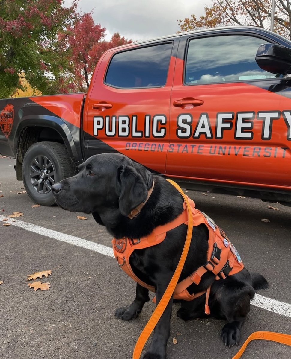 Oregon State Public Safety tweet media