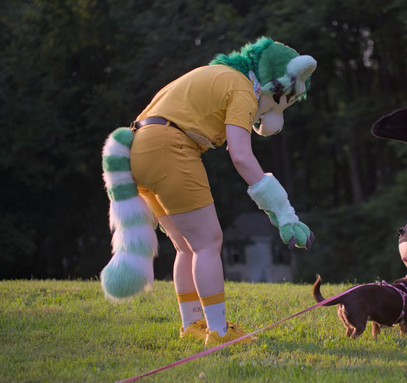 for this #fursuitfriday I present to you: tail in between my butt cheeks 🐯🍑 I guess real anthro animals have to deal with the tail wedgie 😳… (📷: <a href="/LCB_Meyneth/">Clear All Meyneth</a>)